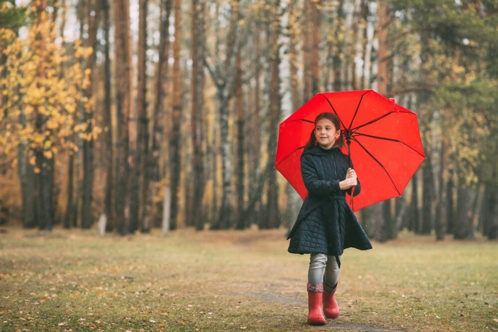 parapluie