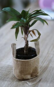 toile de jute pot